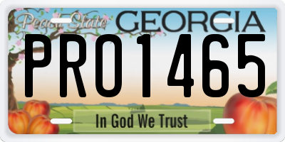 GA license plate PRO1465