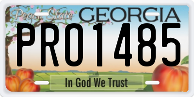 GA license plate PRO1485
