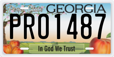 GA license plate PRO1487