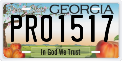 GA license plate PRO1517