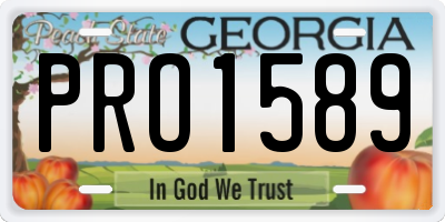 GA license plate PRO1589