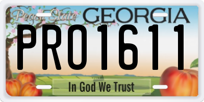GA license plate PRO1611