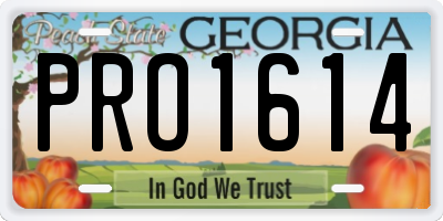 GA license plate PRO1614