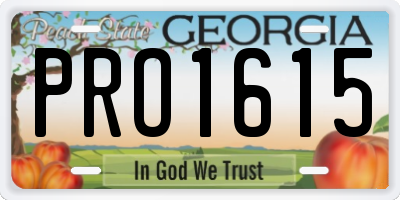 GA license plate PRO1615