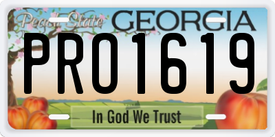 GA license plate PRO1619
