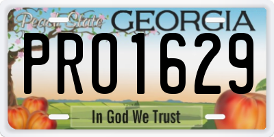 GA license plate PRO1629