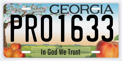 GA license plate PRO1633