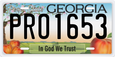 GA license plate PRO1653