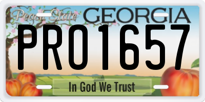 GA license plate PRO1657