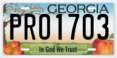 GA license plate PRO1703