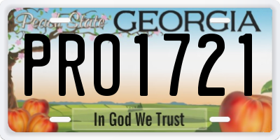 GA license plate PRO1721