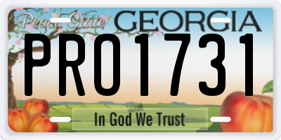 GA license plate PRO1731