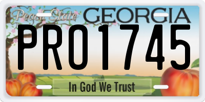 GA license plate PRO1745