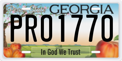 GA license plate PRO1770