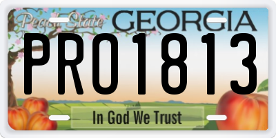 GA license plate PRO1813