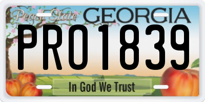 GA license plate PRO1839