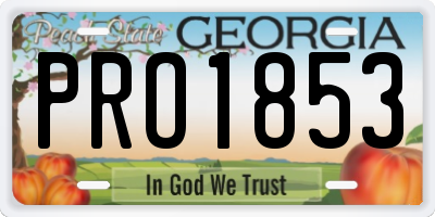 GA license plate PRO1853