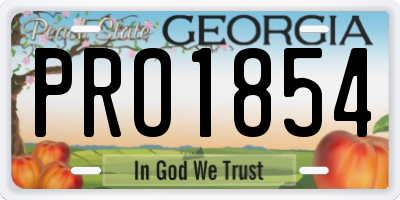 GA license plate PRO1854