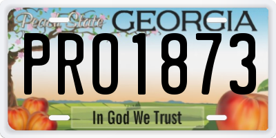 GA license plate PRO1873