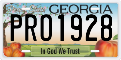 GA license plate PRO1928