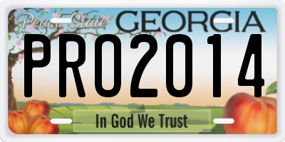 GA license plate PRO2014