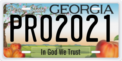 GA license plate PRO2021