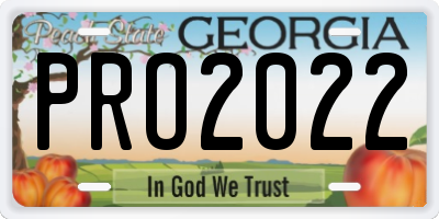 GA license plate PRO2022
