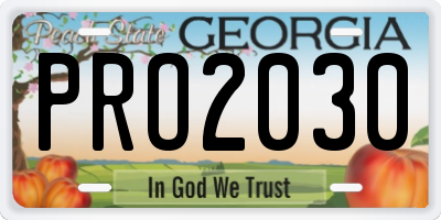 GA license plate PRO2030