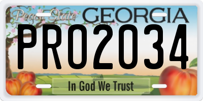 GA license plate PRO2034