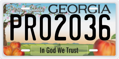 GA license plate PRO2036