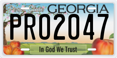 GA license plate PRO2047