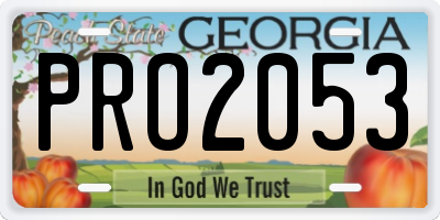 GA license plate PRO2053