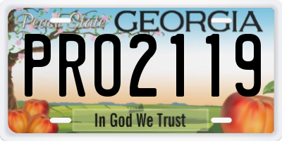 GA license plate PRO2119