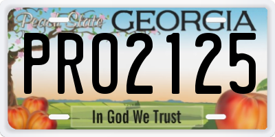 GA license plate PRO2125