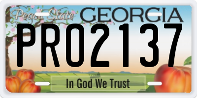 GA license plate PRO2137