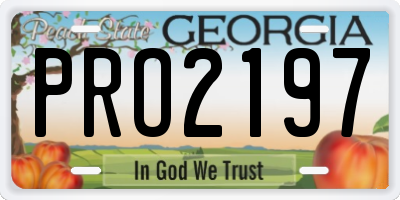 GA license plate PRO2197