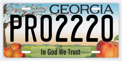 GA license plate PRO2220