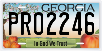 GA license plate PRO2246