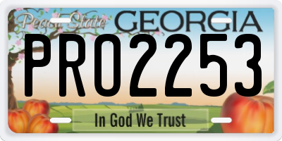 GA license plate PRO2253