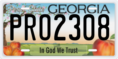 GA license plate PRO2308