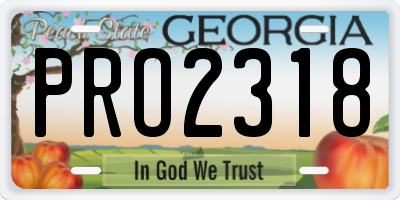 GA license plate PRO2318