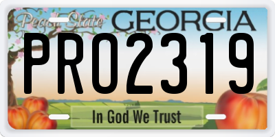 GA license plate PRO2319