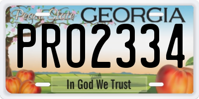 GA license plate PRO2334