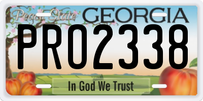 GA license plate PRO2338