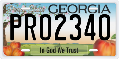 GA license plate PRO2340