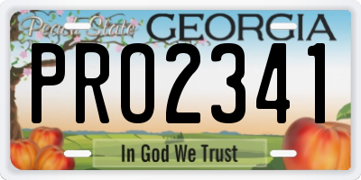 GA license plate PRO2341