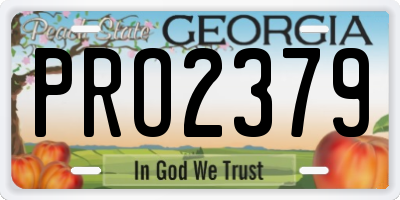 GA license plate PRO2379