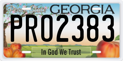 GA license plate PRO2383
