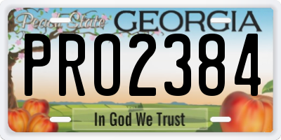 GA license plate PRO2384