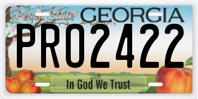 GA license plate PRO2422